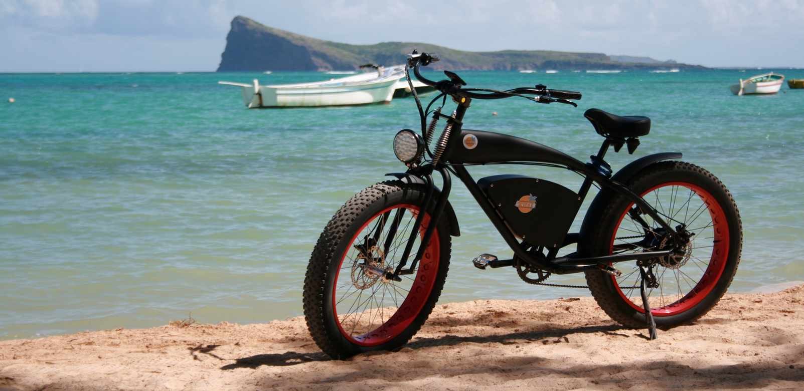 Sell and Rent Electric Bike